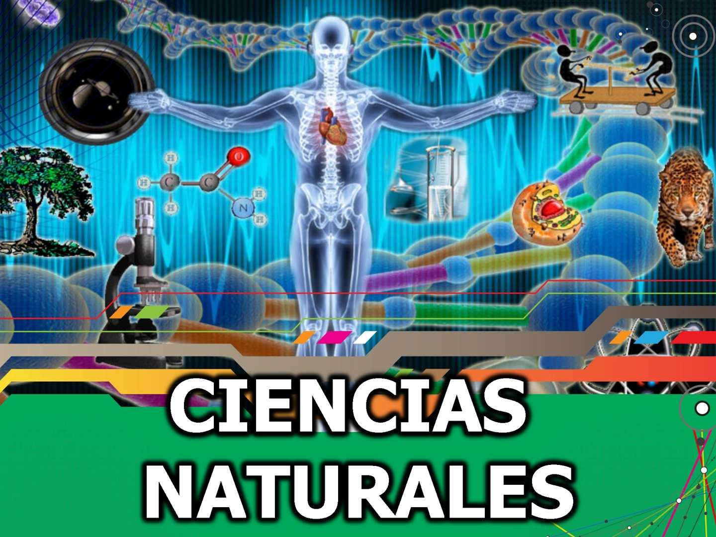 ciencias
